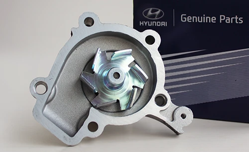 Water Pump Gasket