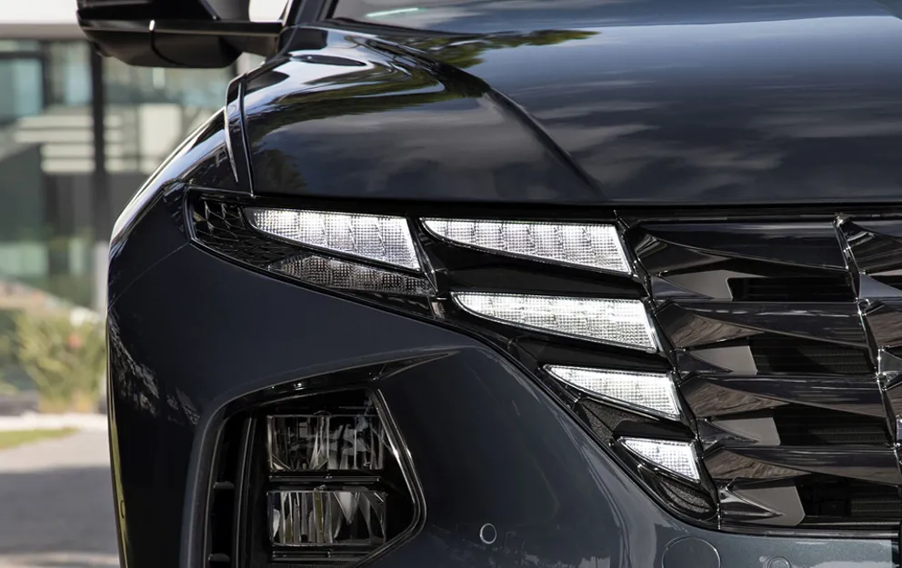 Tuscon Closeup